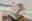 Image 20 veb2i