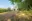 Image 5 r4t2k4
