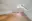 Image 13 g8wdu8
