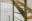 Image 8 ct0jb