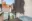 Image 35 rpj39q