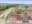 {"order_id": "58316e72-2d14-4799-8d0a-64a3ac13a002", "image_id": "a29a33ca-0293-4de1-b4b8-01f1bbe7ba45"}