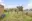 Image 29 op783s