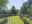 Image 33 a395w9