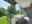 Image 19 rf807e