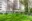 Image 26 5xgrdn