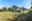 Image 15 pgajs