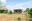 Image 29 856wml