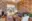 Image 22 au2gho