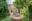 Image 28 iv4zib