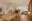 Image 24 p1tgxl