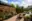 Image 23 0dimd
