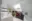 Image 0 hrjmd