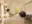 Image 53 m0x2e