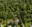 Image 44 6l1o7