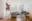 Image 16 e4tnbd