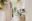 Image 29 y1of5l