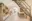Image 20 cgvzd