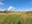 Image 28 0ov05f