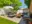 Image 23 t176hb