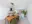 Image 20 j4cl1