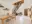 Image 18 e7gf1f