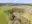Image 19 dqbgd